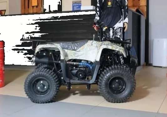 Купить Квадроцикл Motoland Rider 110 Квадроцикл Motoland Rider 110